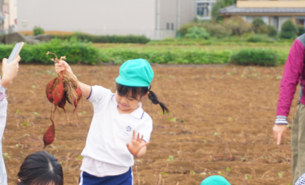 お芋堀り遠足